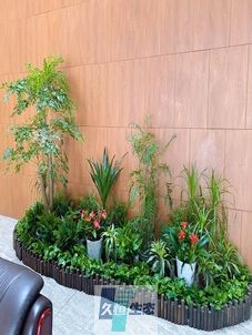 高淳企业大厅绿植组合摆放